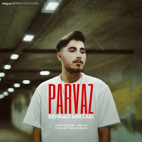 بهراد میرزایی - پرواز